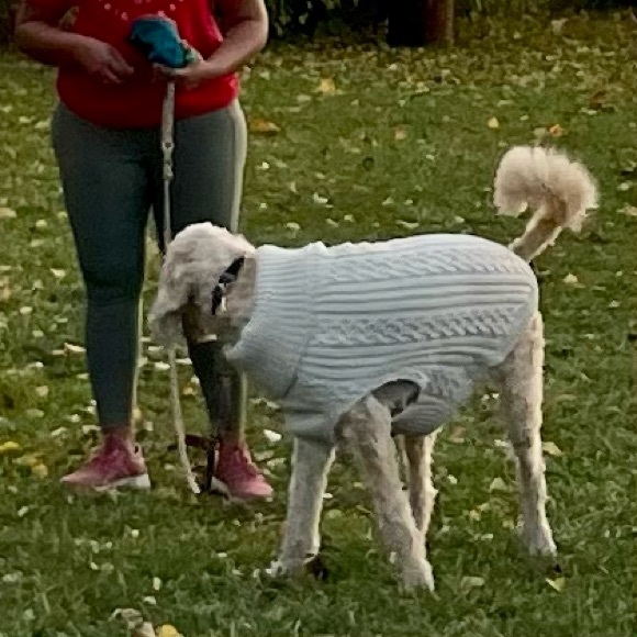 ✨Host Pick! Boots & Barkley cabled dog sweater XL NWT - Picture 11 of 11